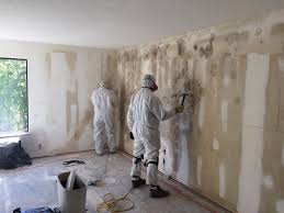 Best Attic Mold Removal  in Howard, WI